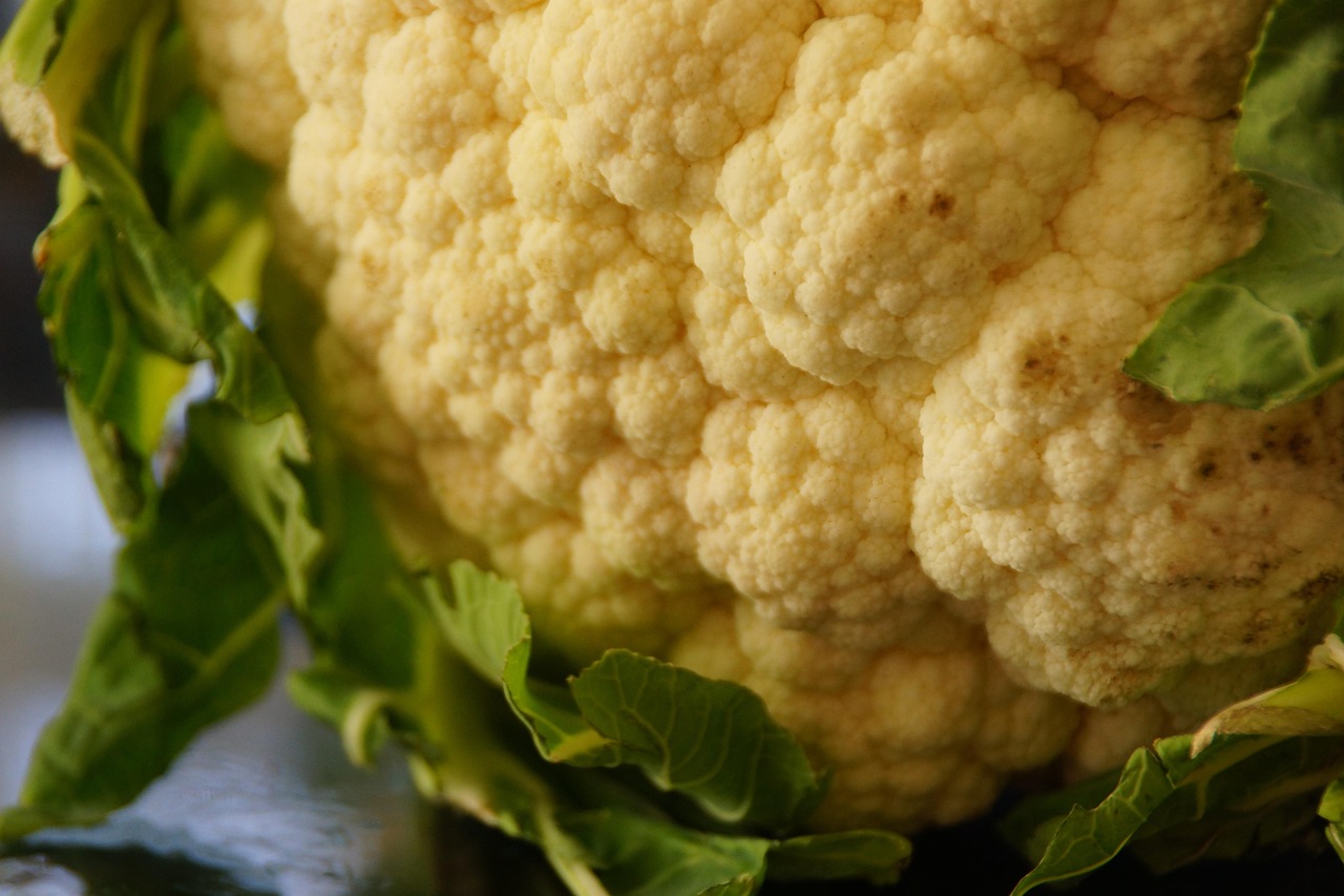 Cavolfiore al forno croccante, golden e appetitoso, servito su un piatto bianco.