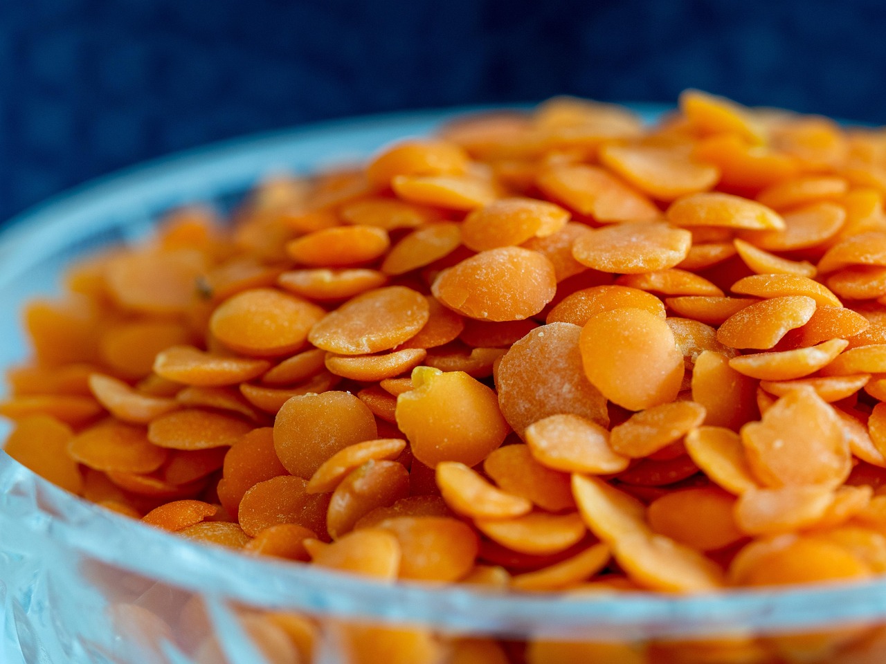 Lenticchie stufate con pomodoro servite in un piatto rustico, pronte per essere gustate.