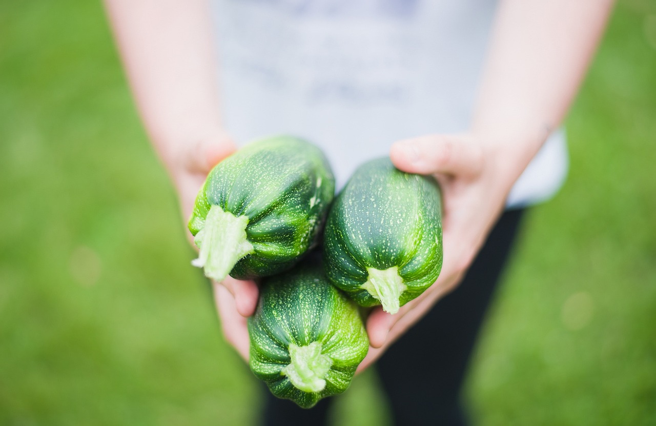 Zucchine fresche tagliate, pronte per tre ricette veloci e gustose.