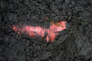 Segnale di marciume nel terreno, evidenziato da aree scure e visibili deformità del suolo.