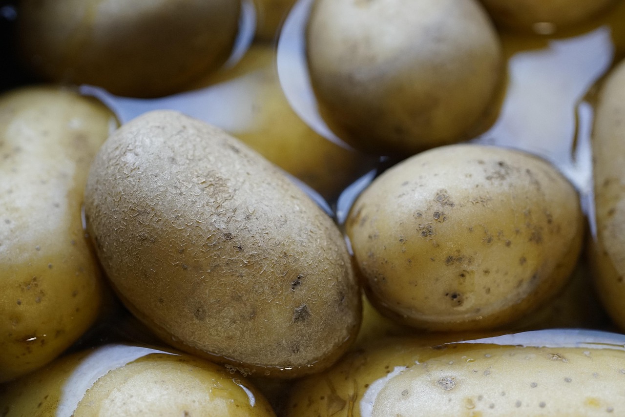 Patate lesse in una pentola con acqua fredda, pronte per la cottura.