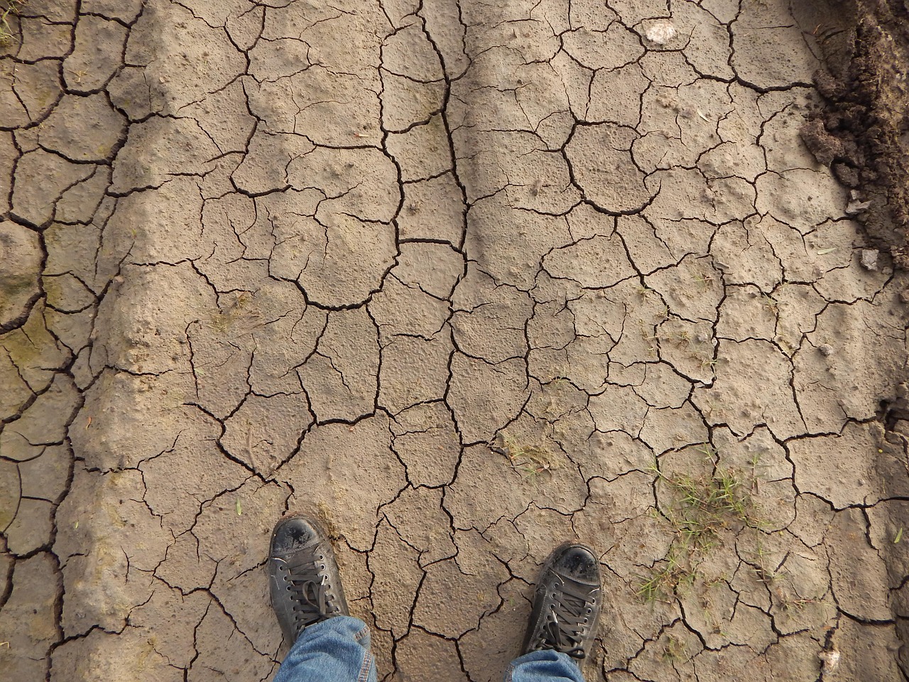 Terriccio secco e ritirato in un vaso, segno di mancanza d'acqua e necessità di cura delle piante.